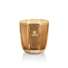 Picture of Dr.Vranjes Oud Nobile Candle Gold 500g 