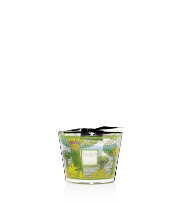 Picture of Baobab Cities Singapore Candle