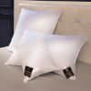 Picture of Brinkhaus Chalet Pillow Soft 50*75cm