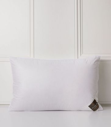 Picture of Brinkhaus Chalet Pillow Soft 50*75cm